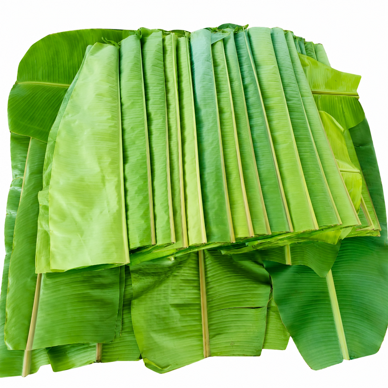 Banana Leaves